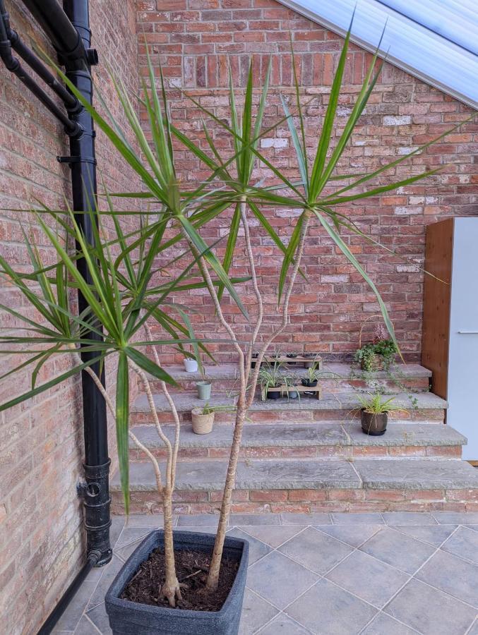 The Orangery Villa Little Carlton Exterior photo
